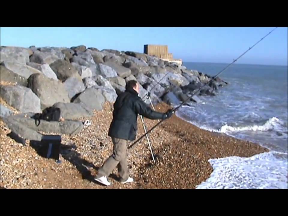 max and moon fish at Langney Point, Eastbourne.