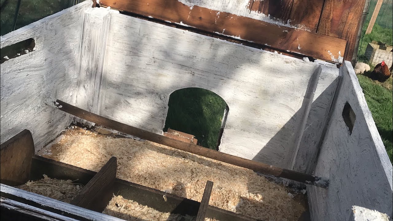 TUTO Chaulage des poulaillers (Désinfection, poux)