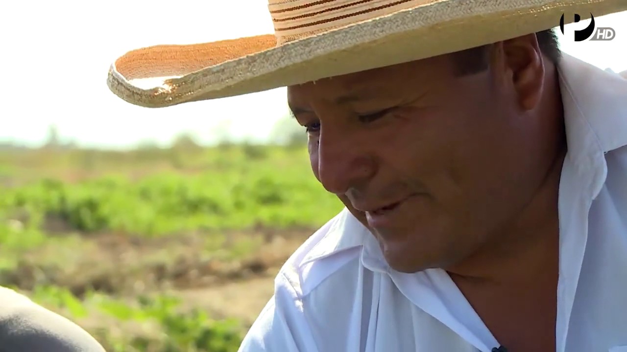 POMAC III Y EL MEJOR ZAPALLO LOCHE DEL PERÚ