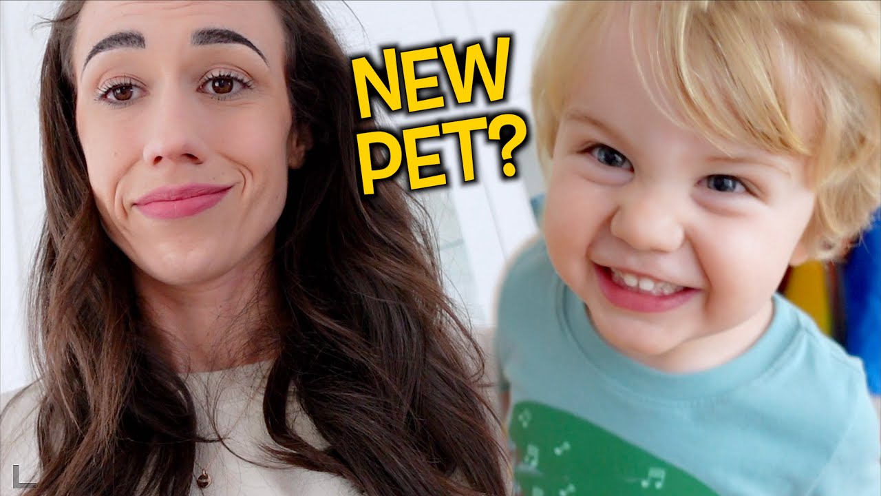 Getting Flynn A Pet!!!