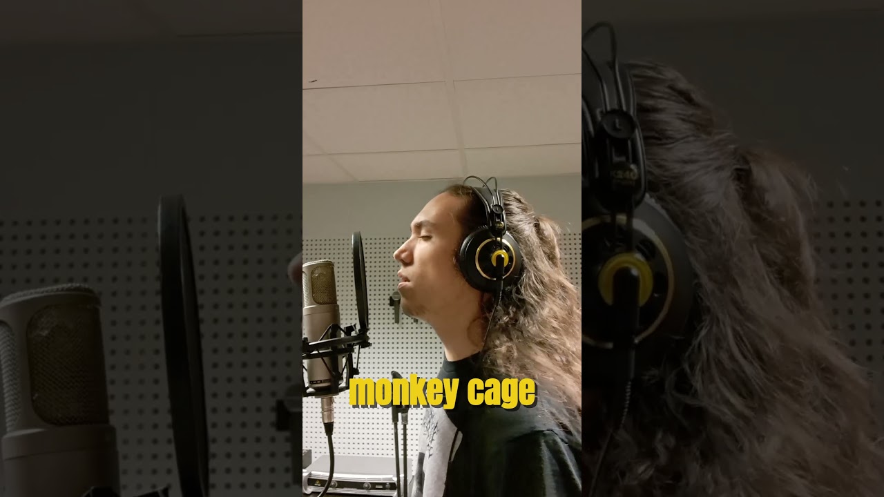 🔥 Allez streamer Monkey Cage, single disponible sur notre premier EP "Echos" ! 🤘