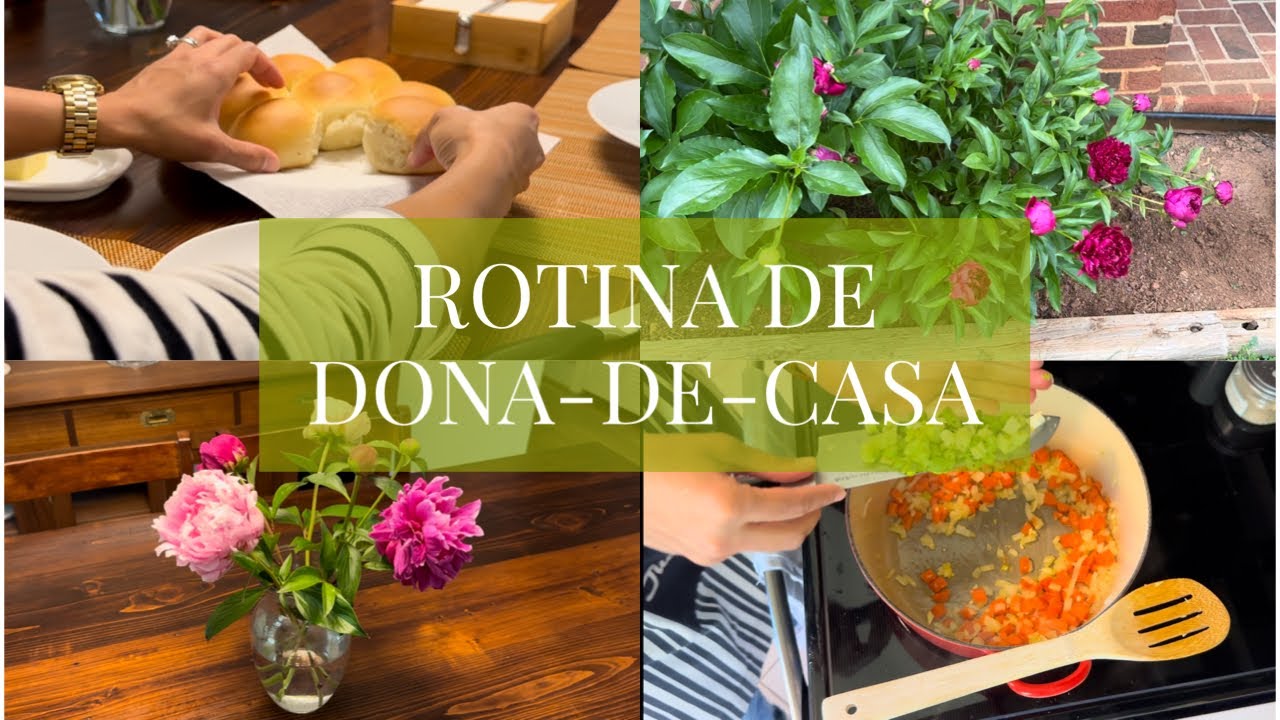 TAPA NA CASA | CALDO DE FRANGO CASEIRO | MEU JARDIM 💐 😍