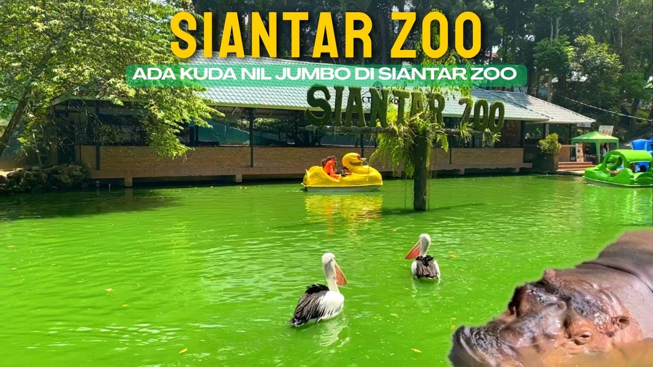 Siantar Zoo, Salah Satu Taman Hewan Tertua di Indonesia 