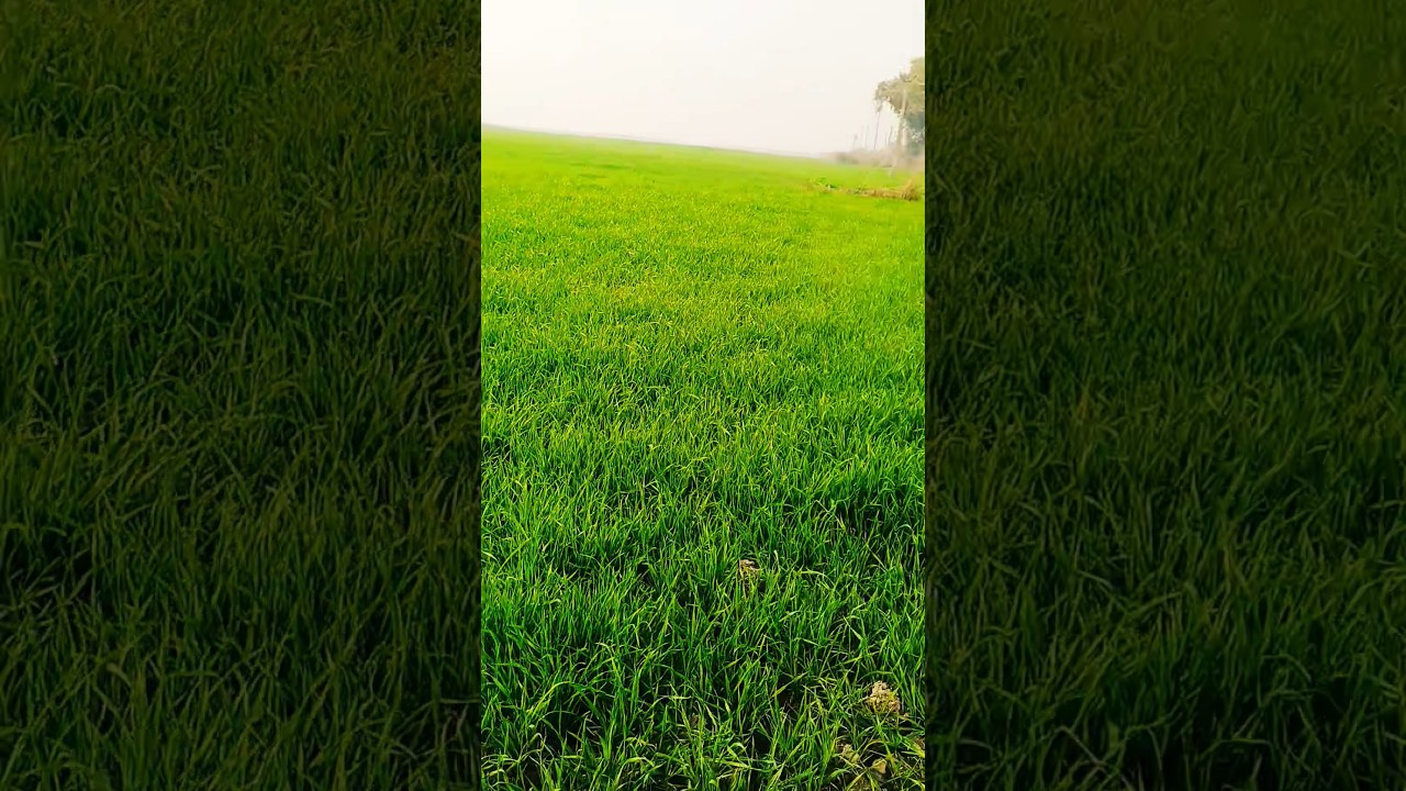 #trend