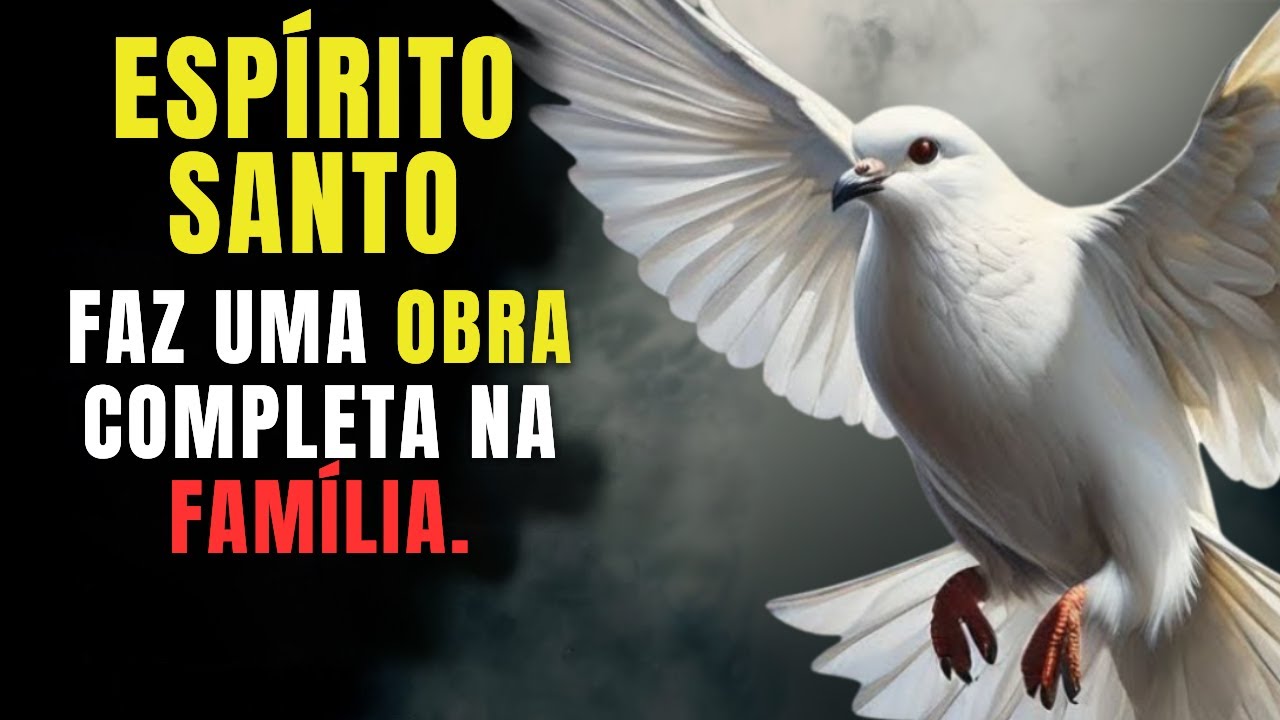 ESPÍRITO SANTO, ENTRE NO MEU LAR AGORA E FAÇA O MILAGRE COMPLETO NA MINHA FAMÍLIA