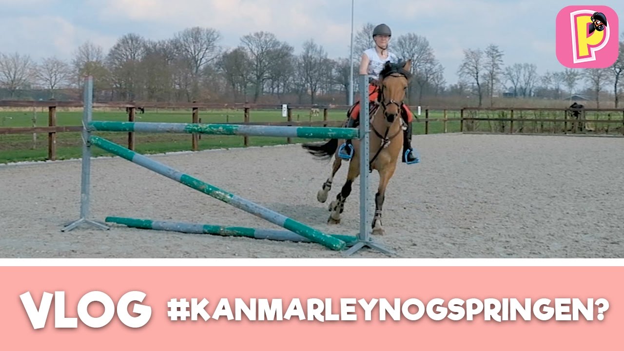 Penny TV & Felinehoi Crosstraining | VLOG #4 | Penny TV