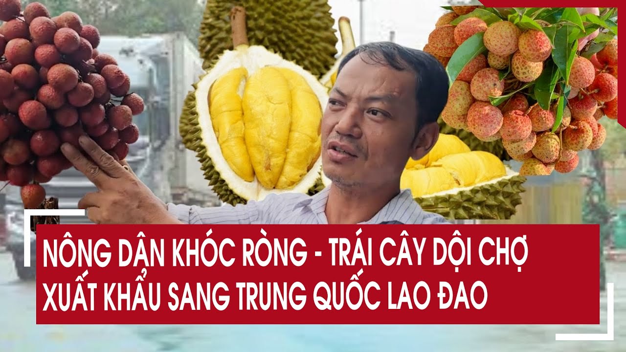 Nông dân khóc ròng - trái cây dội chợ, xuất khẩu sang Trung Quốc lao đao