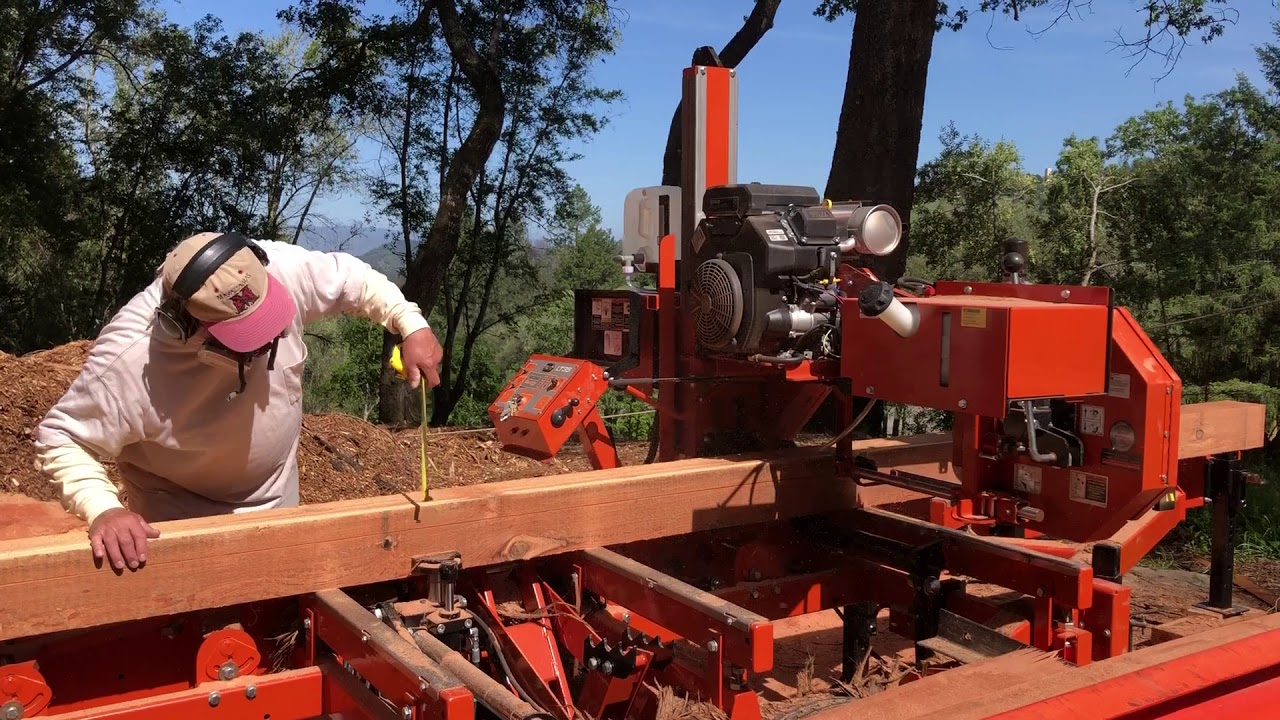 Fire-damaged trees find new life on Mount Veeder