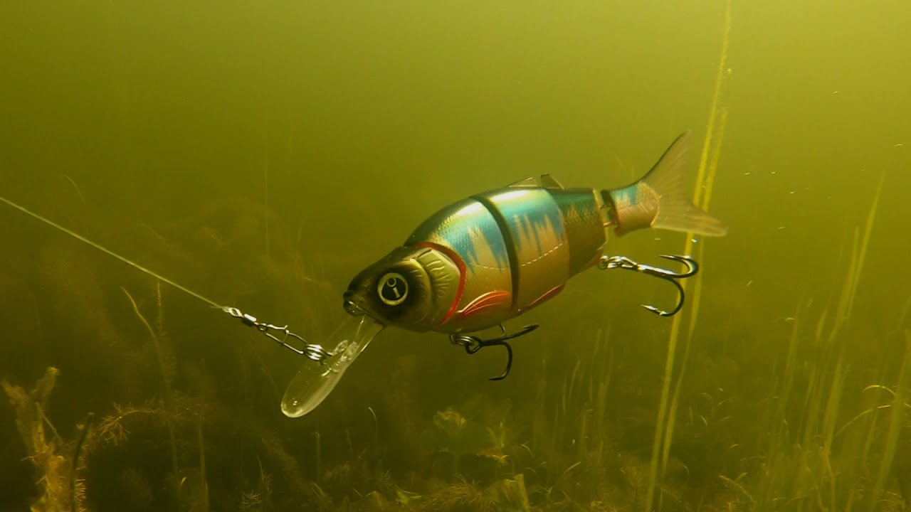 2019: Best fishing lures / Лучшие рыболовные приманки / Beste Angelk&ouml;der / Mejores se&ntilde;uelos de pesca