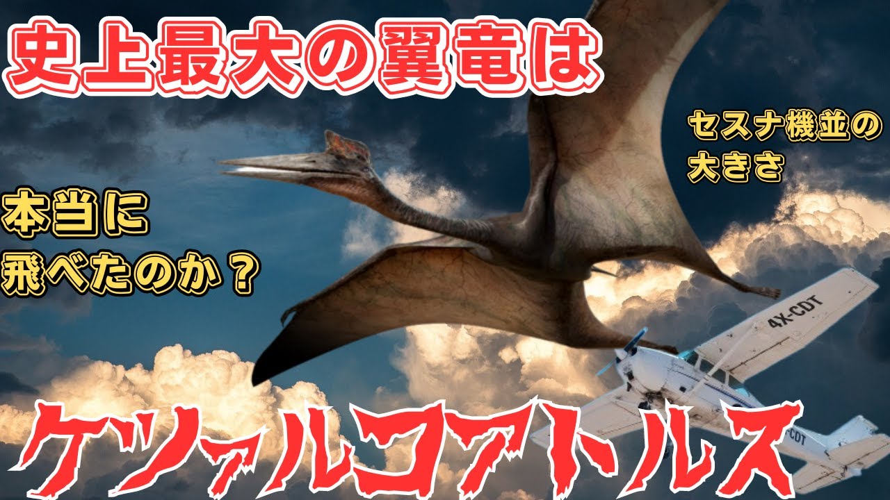 史上最大の翼竜ケツァルコアトルス：本当に空を舞えたのか？【ゆっくり解説】