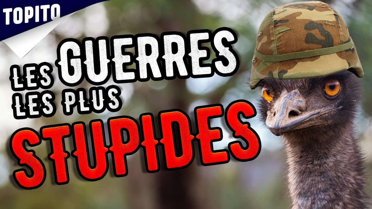 Top 8 des anecdotes de guerre les plus d&eacute;biles