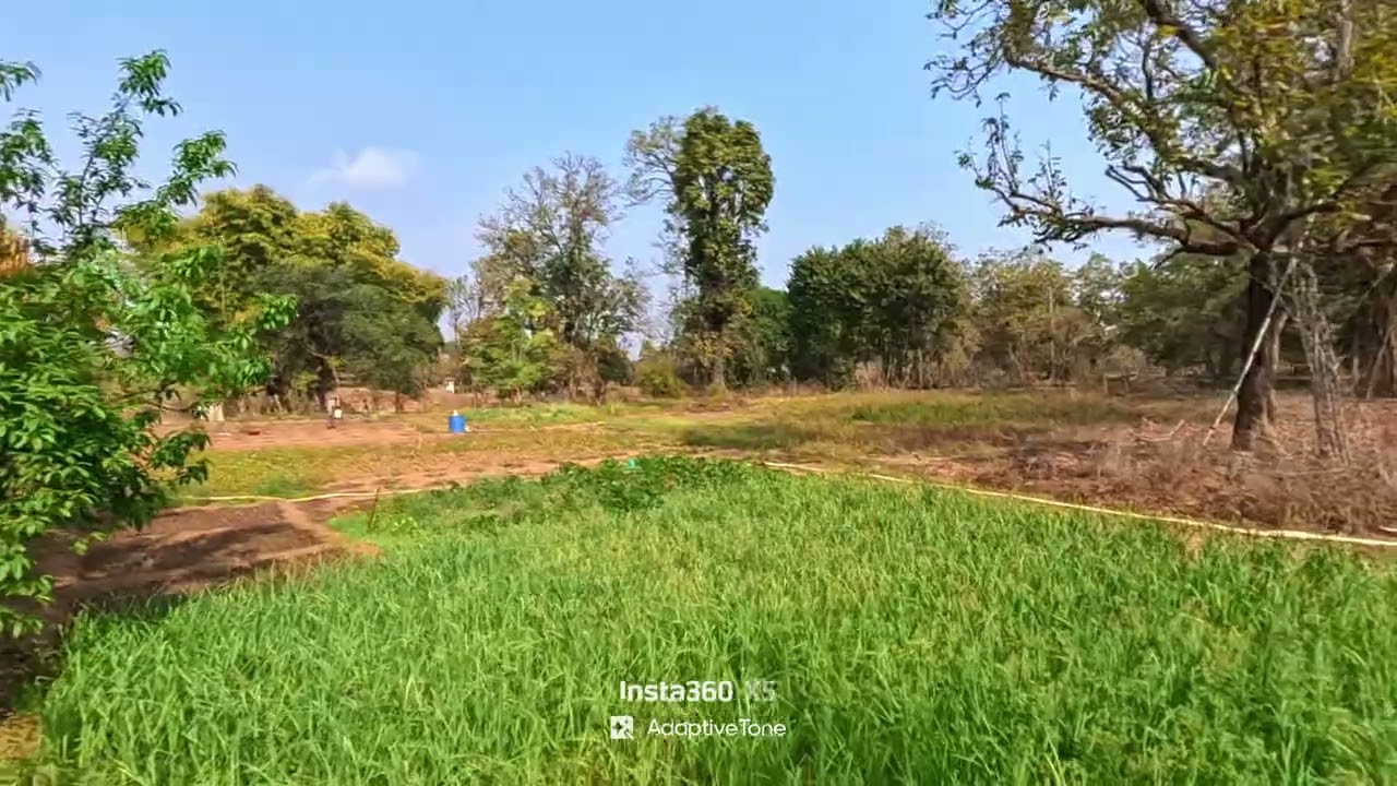 गाँव की असली खेती – किसान की मेहनत का सफर Real Indian Farming Life