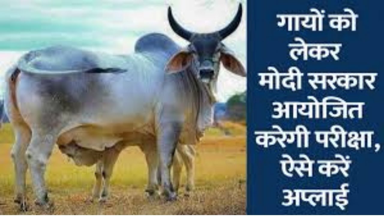 Gau Vigyan Pariksha Application Form 2021 | Cow Science Exam Dates