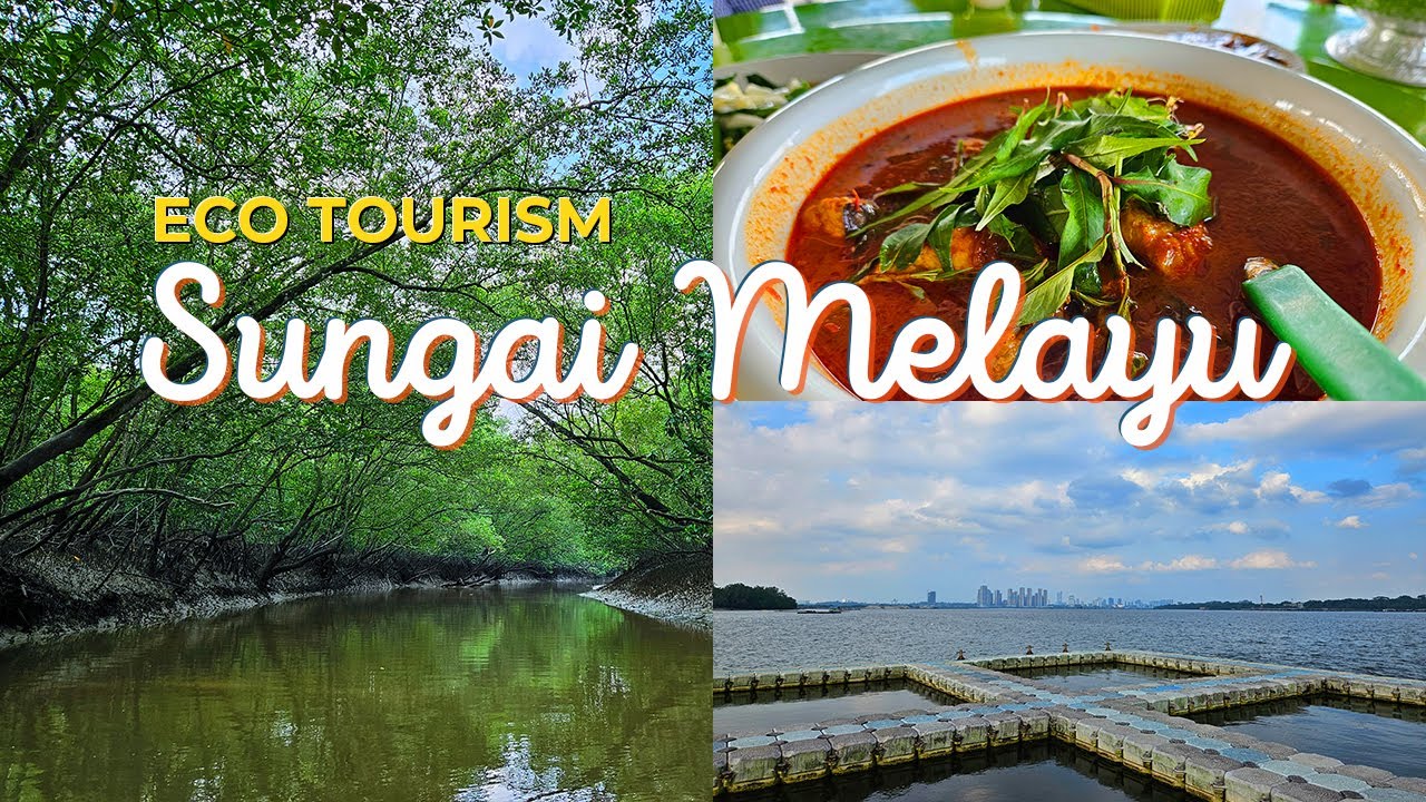 🐍🦎 Boat Tour Menarik di JB & Makan Asam Pedas Tepi Sungai | Sungai Melayu Ecotourism [Eng Sub]