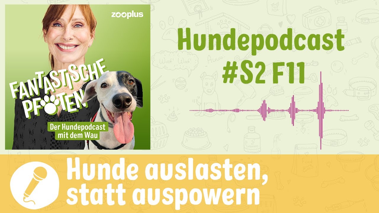 Hunde artgerecht auslasten: Bed&uuml;rfnisse verstehen und sinnvoll besch&auml;ftigen