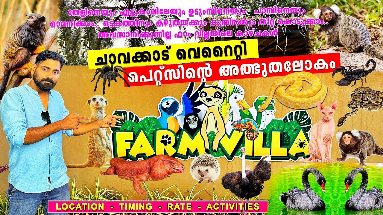 Farm Villa Chavakkad | Farm Villa chavakkad Ticket Price | Farm house | Exotic Farm Villa Thrissur