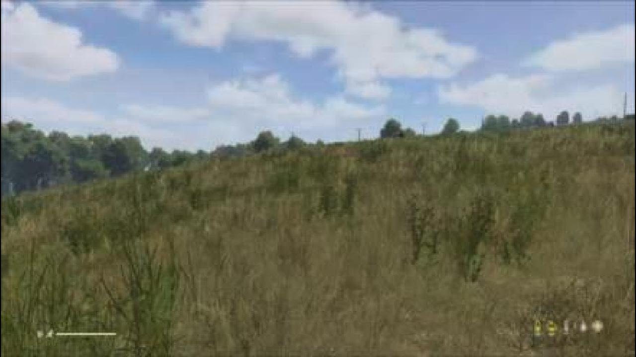 Toplin residence not happy DayZ PS5