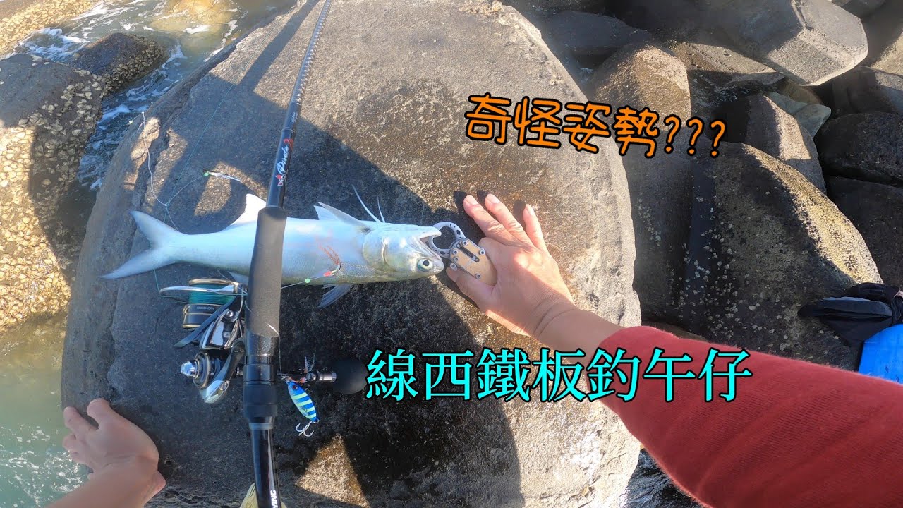 線西/鹿港午仔靠岸了,鐵板路亞釣午仔真好玩,順便幫酷影海盜2代 972MH開光#南投小江 #釣魚 #Fishing #Mancing #釣り