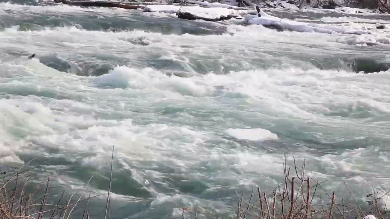 Roaring River Water Sounds of Niagara Falls