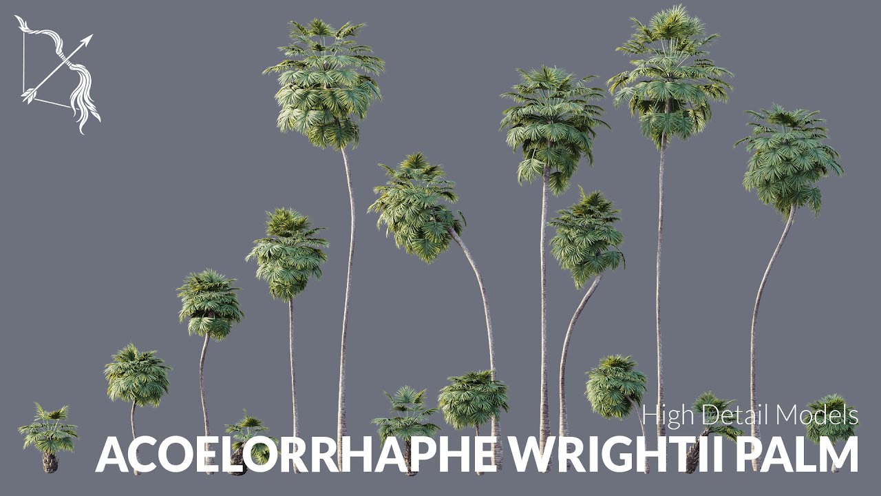 Ultra Realistic Borassus Flabellifer Palm Tree for Unreal Engine | Hyper realistic WIND RAIN SNOW UE