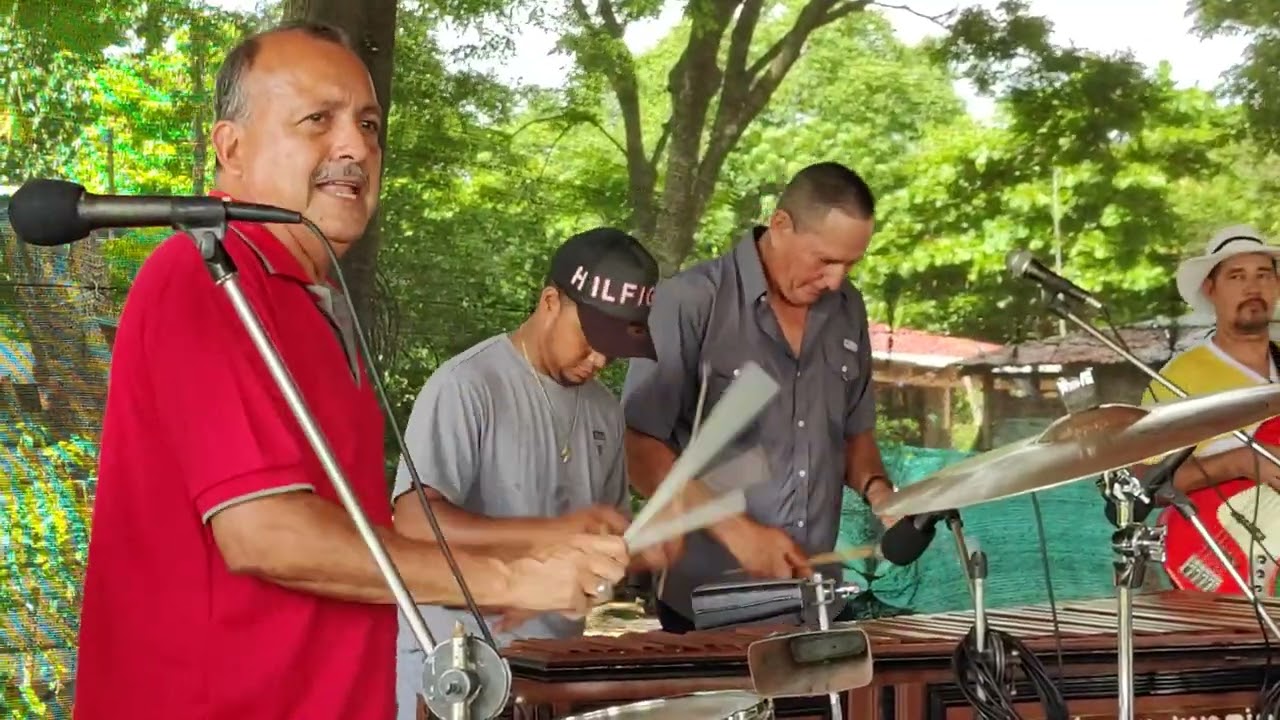 Julia.    [Fusión de Marimbas Orquestas]