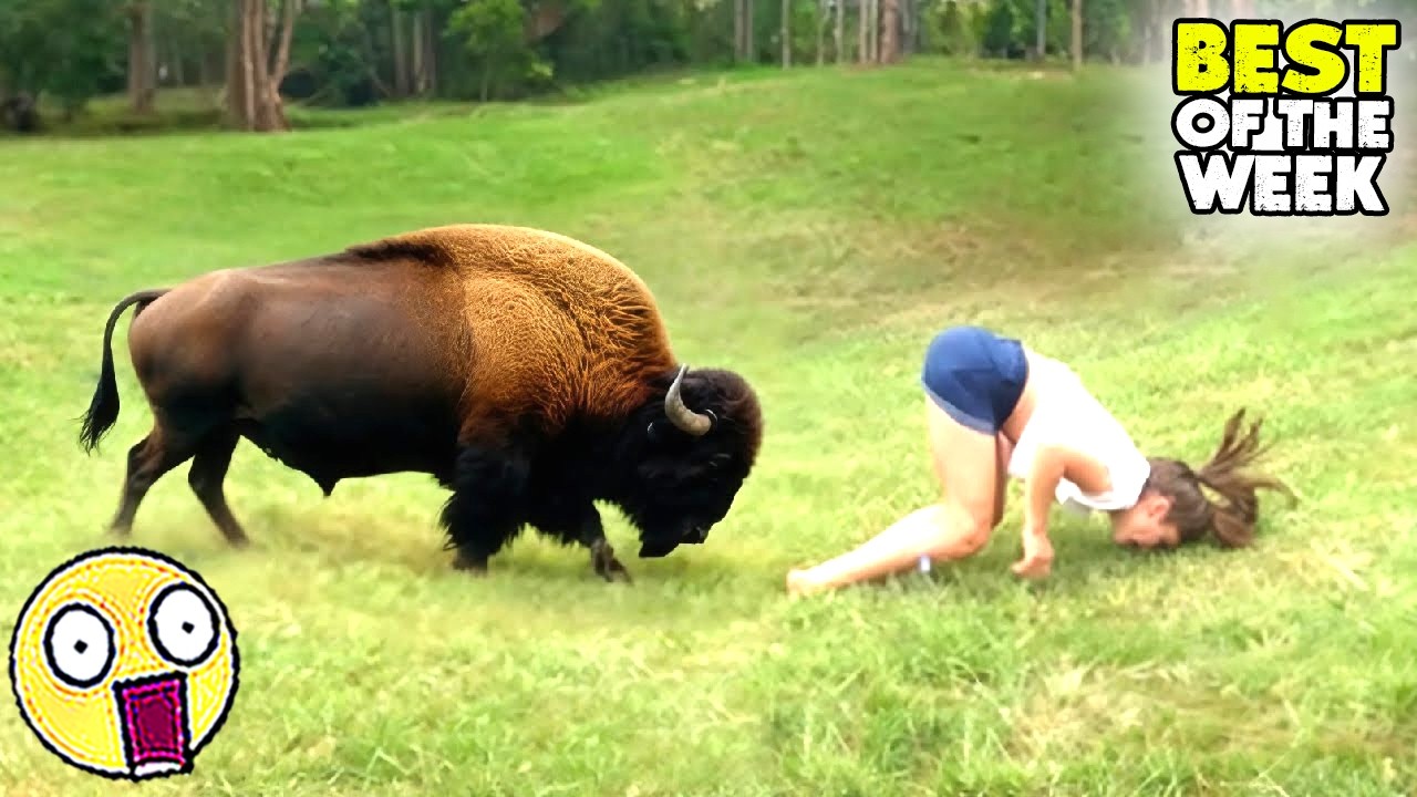 Instant Regret Fails Compilation 2026 | TOTAL IDIOTS AT WORK #23 | Funny & Hilarious People Life