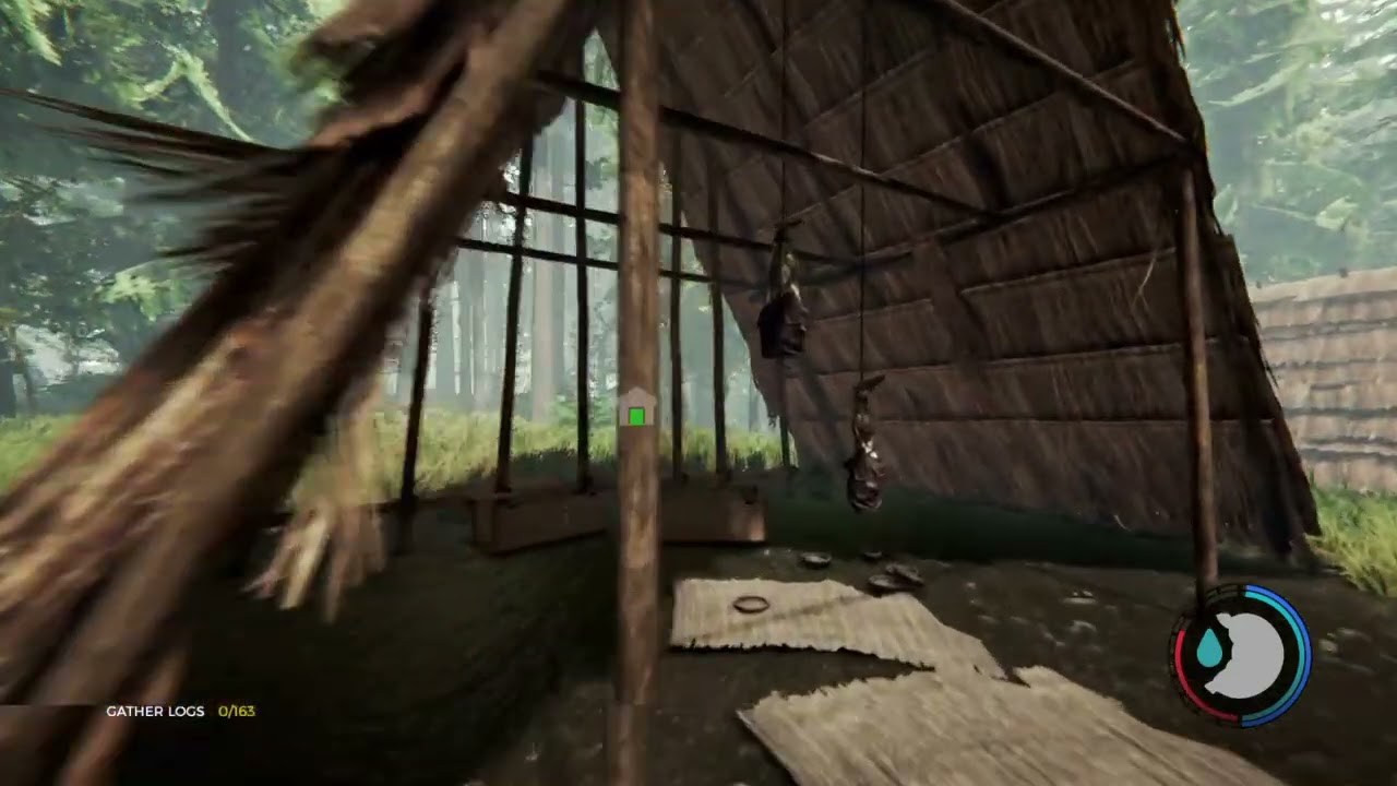 The Forest_20260207142456
