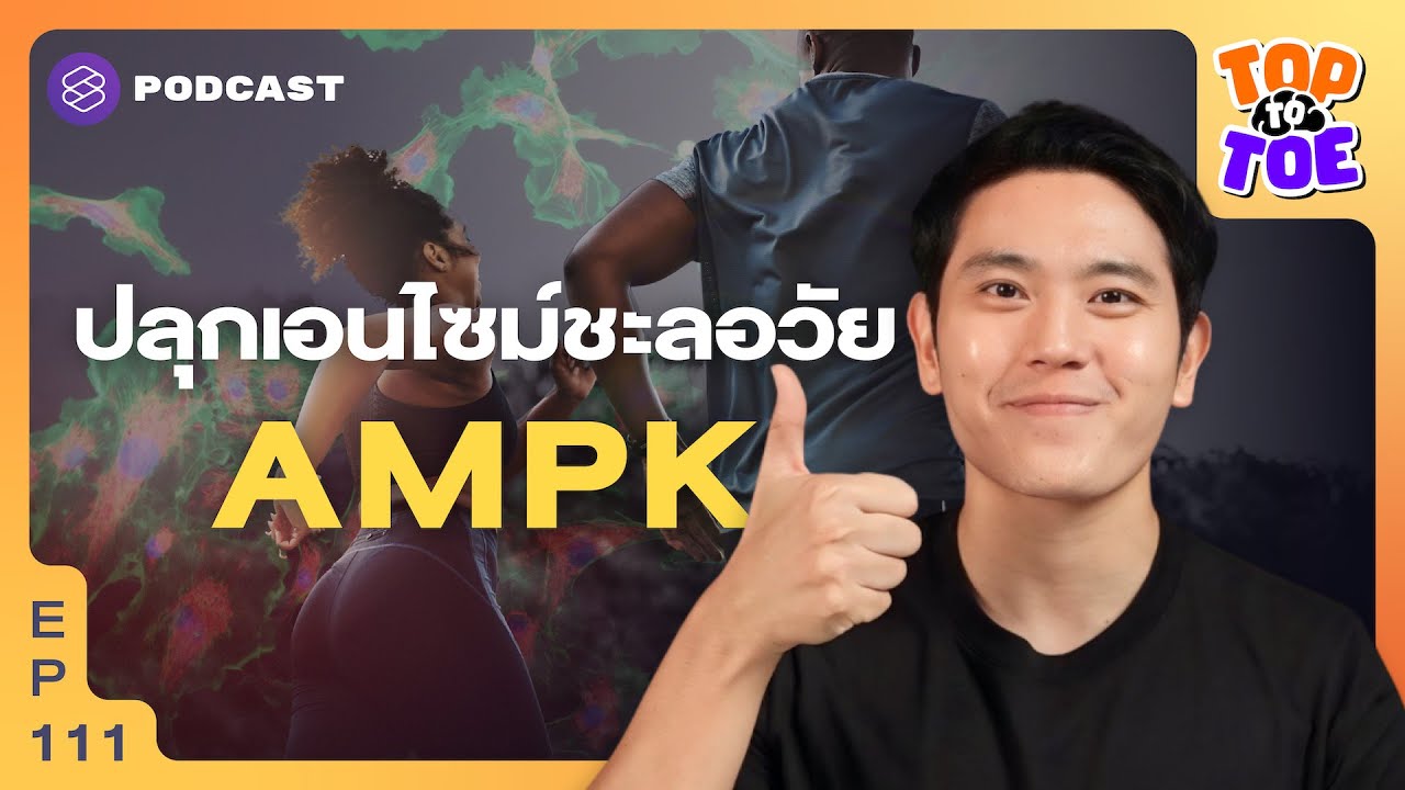 เปิดสวิตช์ AMPK เอนไซม์เบื้องหลังการย้อนวัย | Top to Toe EP.111
