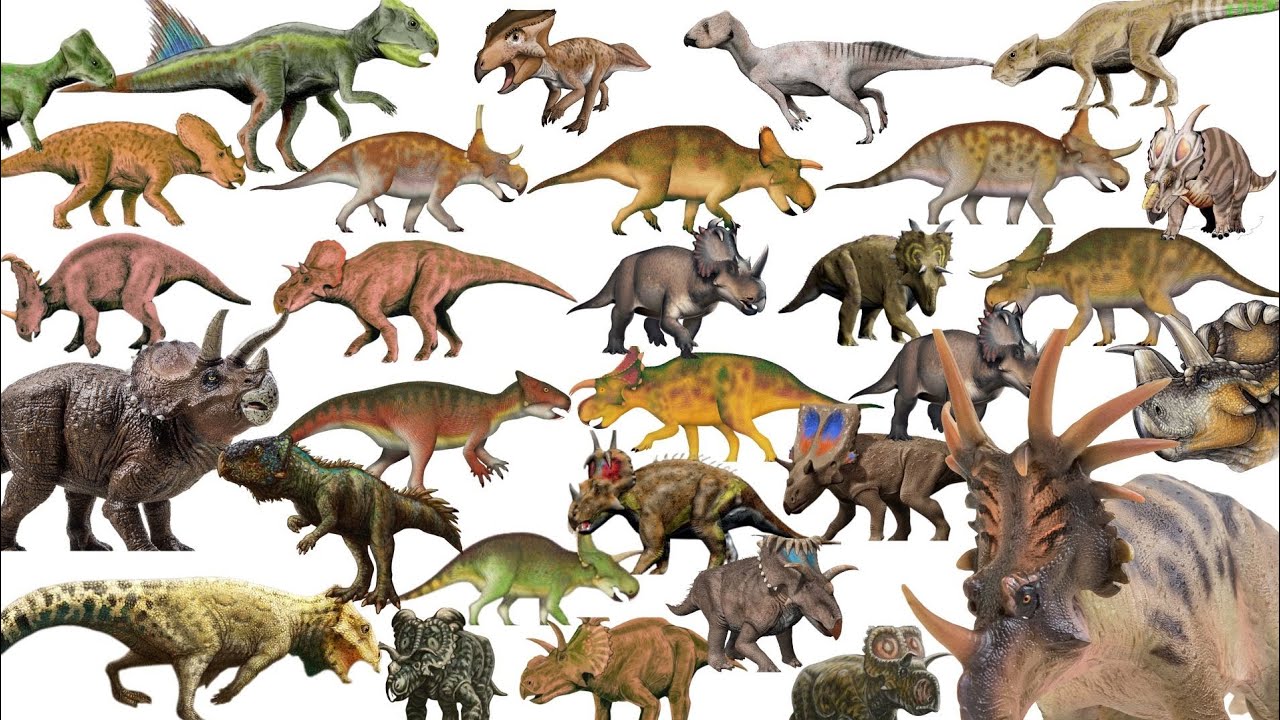 Dinosaurs for Kids| 🦖Learn 80+ Ceratopsia Dinosaur Names in English #kids🐾 #dinosaur #dinosaurs