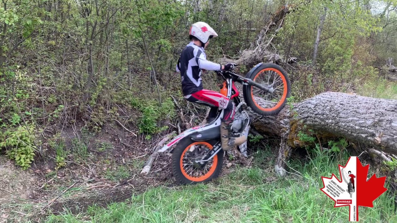Trial training double blip