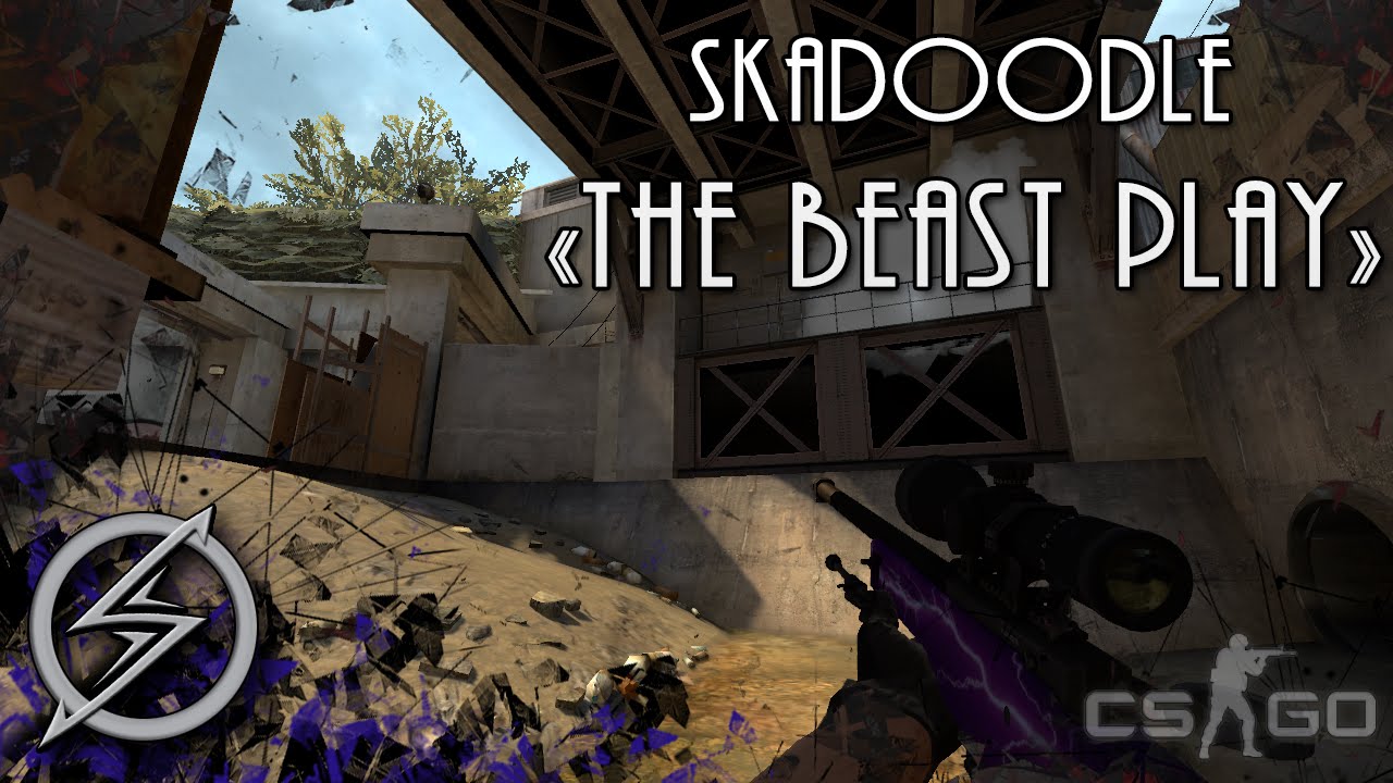 CS:GO - Skadoodle - 