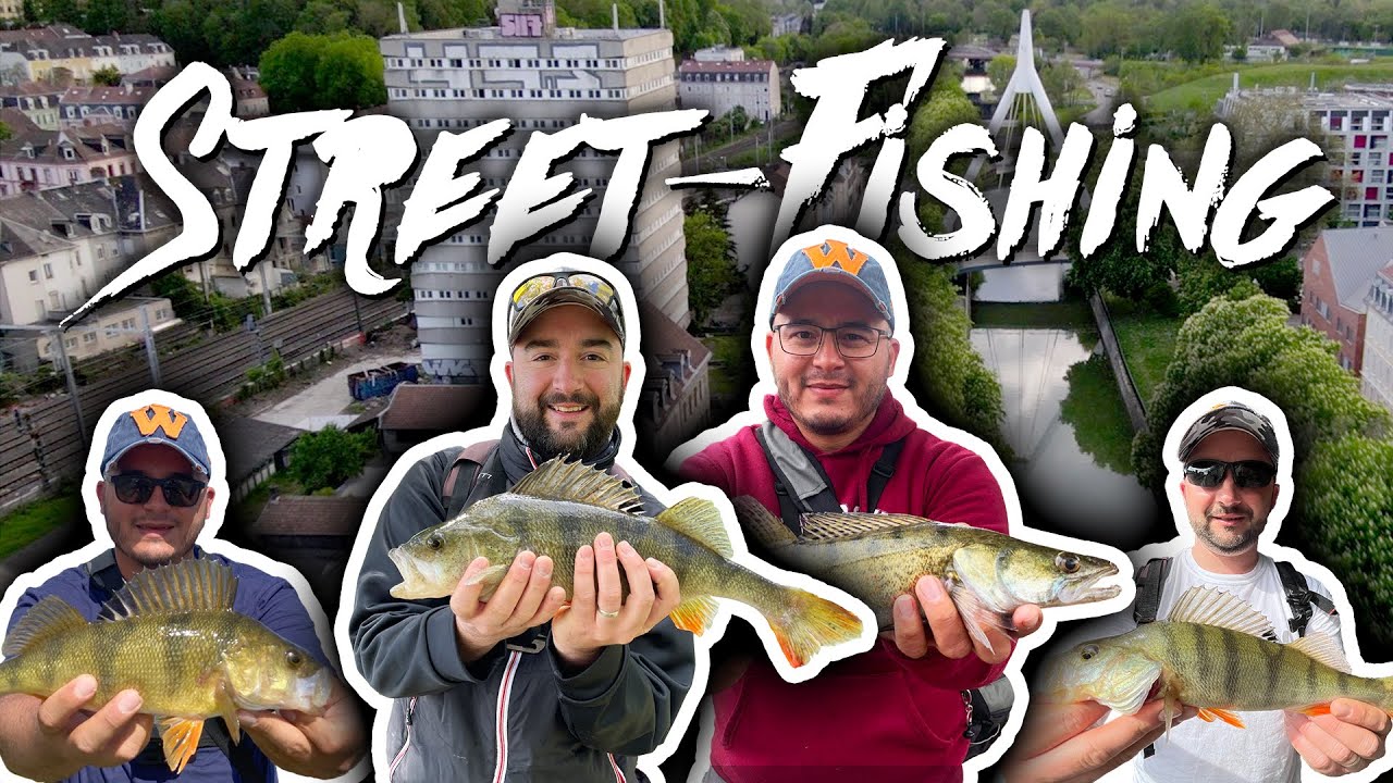 STREET FISHING MULHOUSE - Record perche !