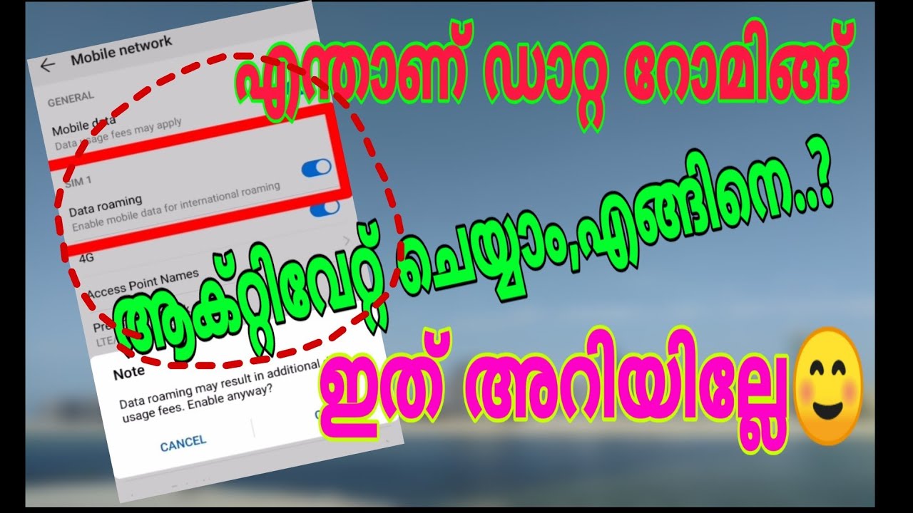 What is data roaming and how to activate it on the phone|How to use data roaming