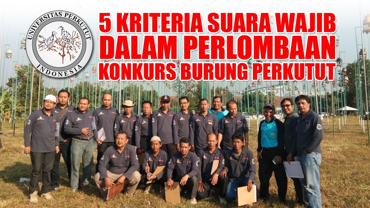 Memahami Kriteria Penilaian Suara Burung Perkutut (Konkurs) P3SI