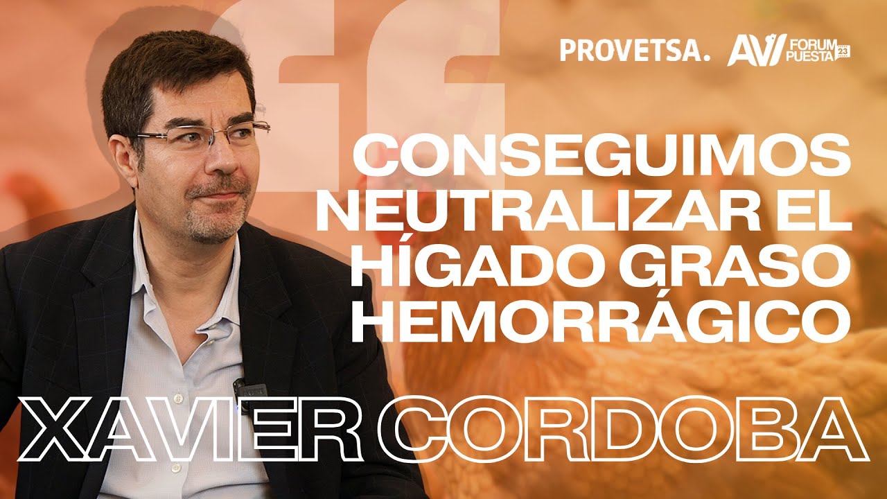 Importancia de la salud hepática en aves ponedoras, Xavier Cordoba | aviFORUM Puesta #7