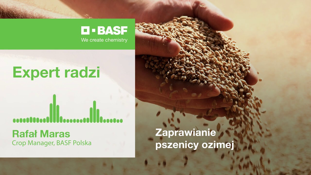 Zaprawianie zb&oacute;ż &ndash; zaprawianie pszenicy ozimej &ndash; Systiva&reg; 333 FS | Podcast #16