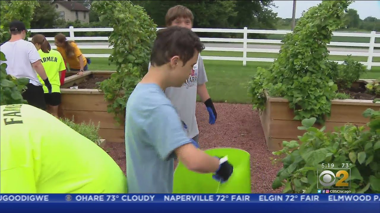 Navarro Farm In Frankfort Provides A Special Opportunity For People With Special Needs