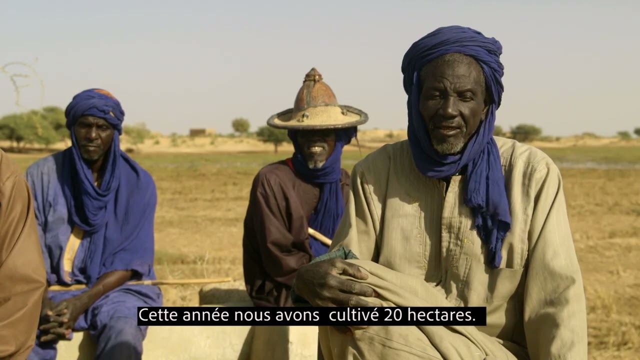 Résilience et sécurité alimentaire au Mali un documentaire de Borda