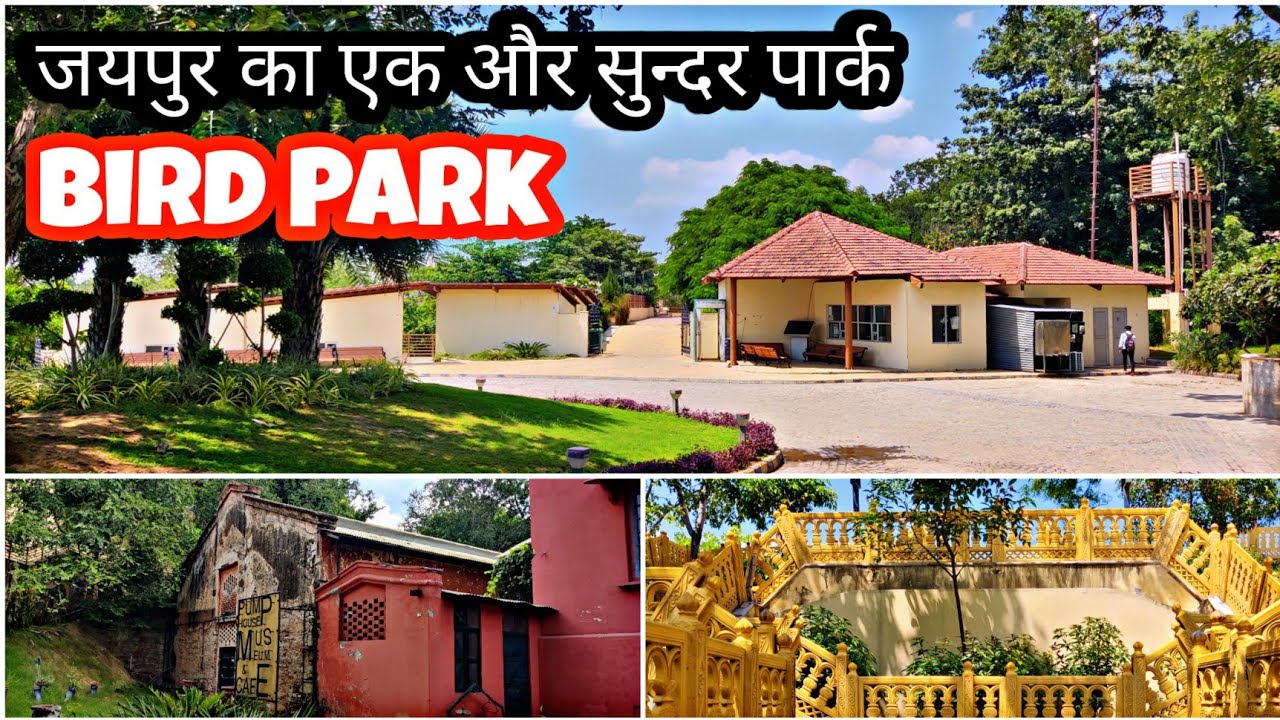 Dravyavati Bird Park Jaipur Rajasthan|| Nature park Panipech #travel #nature