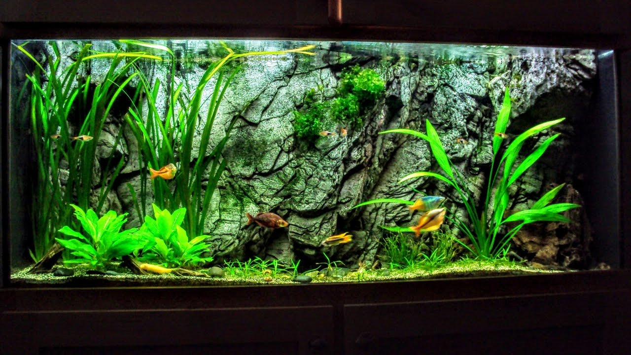 The Hard Water Planted Aquarium & Everything You Want To Know!
