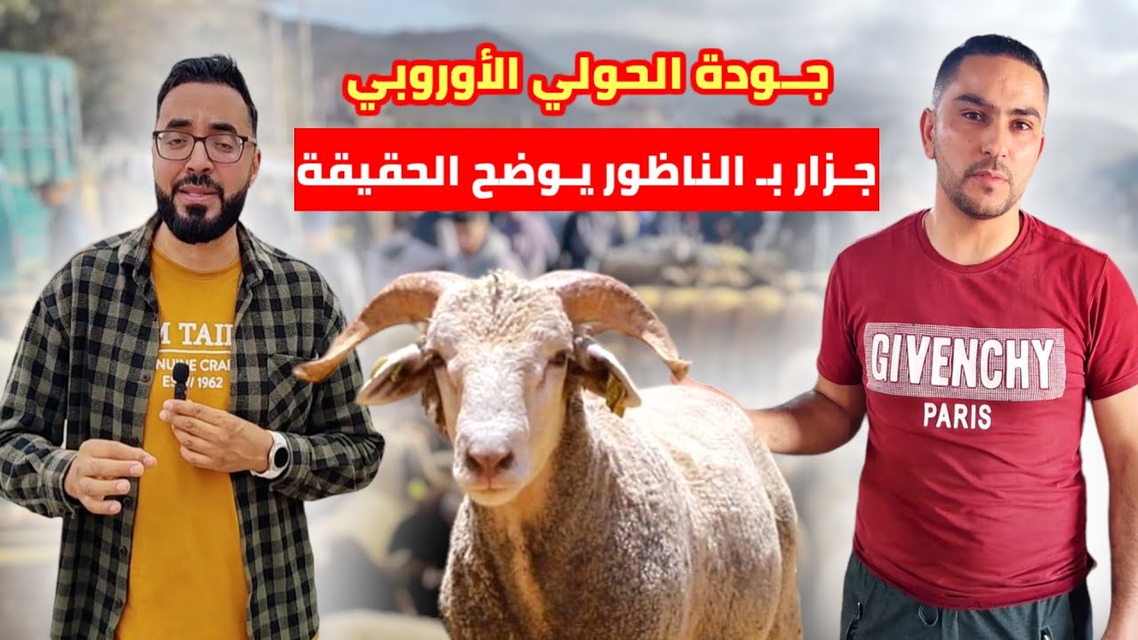 الحولي الأوروبي أحد أشهر الجزارين بـ الناظور يـأكد على الجـودة وهذه هي الأثمنة عند براهيم
