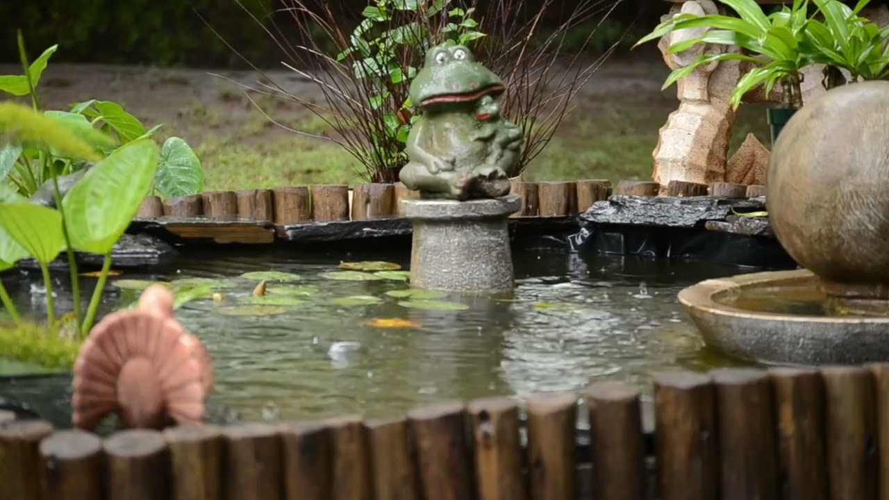 Happy Vibe Rain and Farm