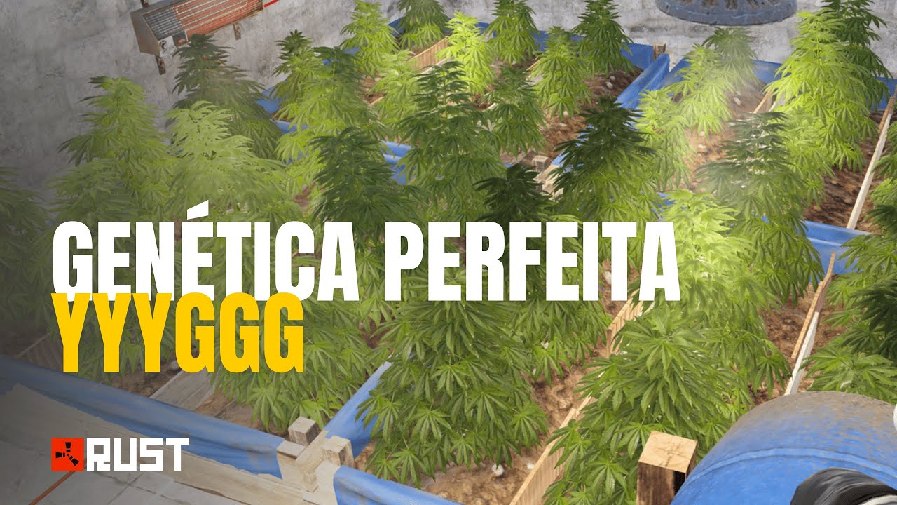 Como conseguir o clone/gen&eacute;tica perfeito do RUST