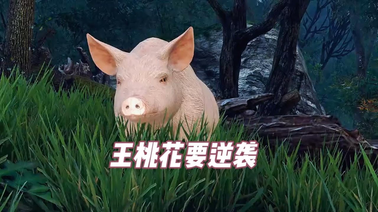 【王桃花逆袭记】第609~706集 王桃花醒来发现自己穿越到了不知名朝代。亲爹被打死，自个儿被退婚，家里还穷得叮当乱响！天老爷啊，这是泼天的霉运啊！不怕不怕，看王桃花披荆斩棘，带着弟弟过上红火日子！