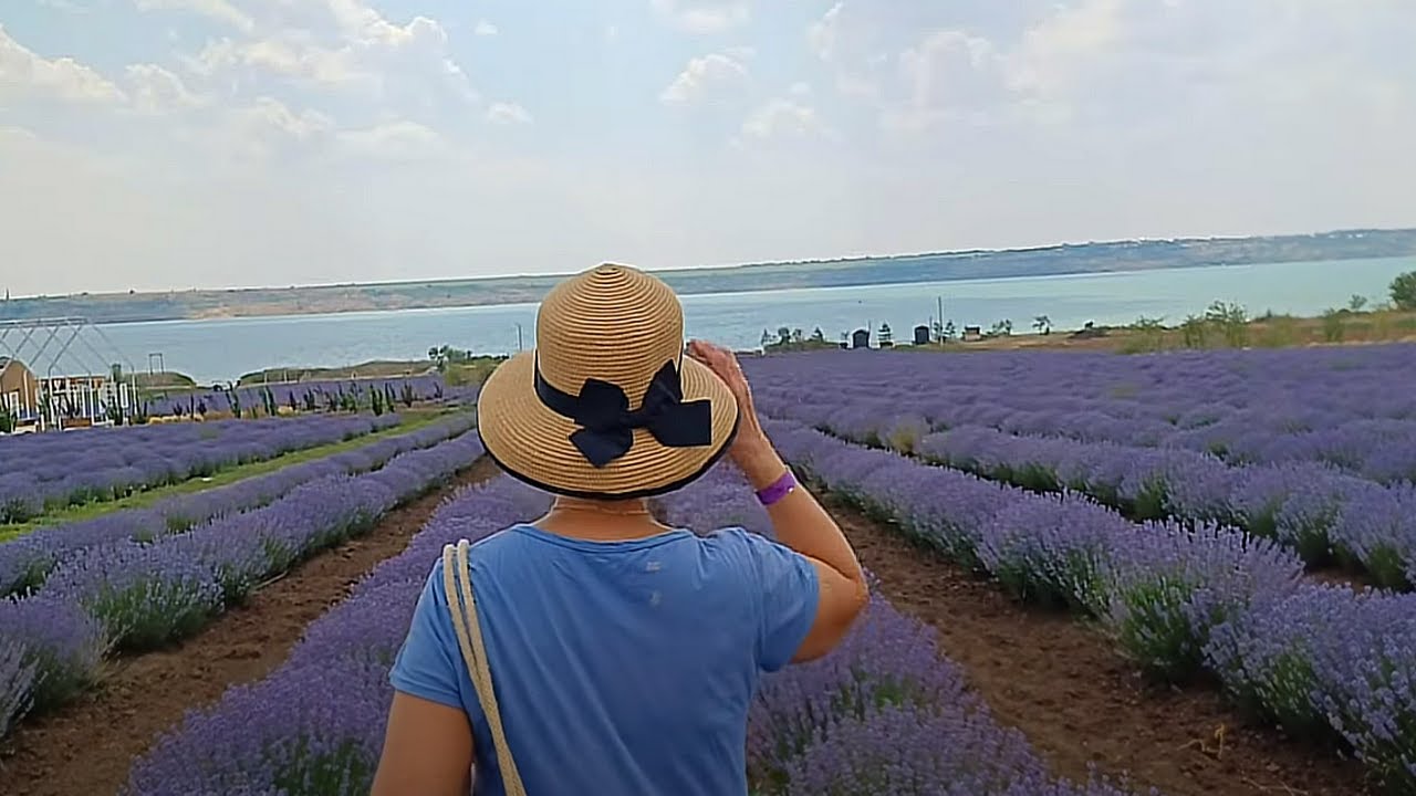 ОДЕССКАЯ ЛАВАНДА. Лавандия, романтичнейшее место под Одессой, как мы отдохнули. Вам тоже захочется!