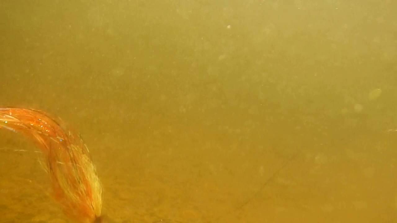 Fly underwater fly fishing pike