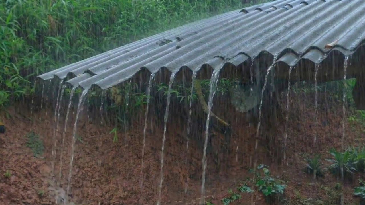 Heavy Rain on Tin Roof 🌧️ | Real Natural Sleep Sounds for Deep Relaxation