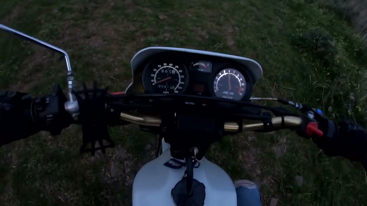 Suzuki TS 50