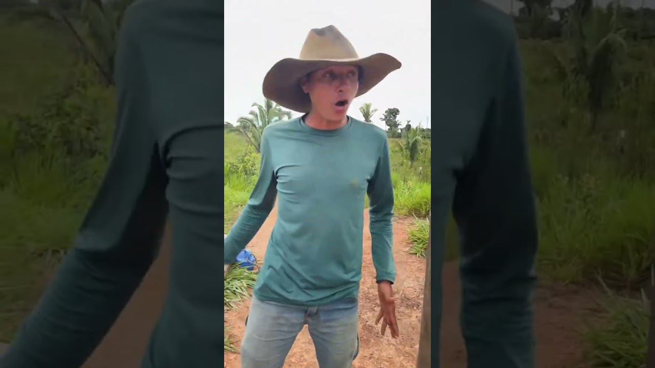 Calango perdeu o dinheiro dele e gamba achou e seu miguel falou era do perna ai ele dividiu dinheiro