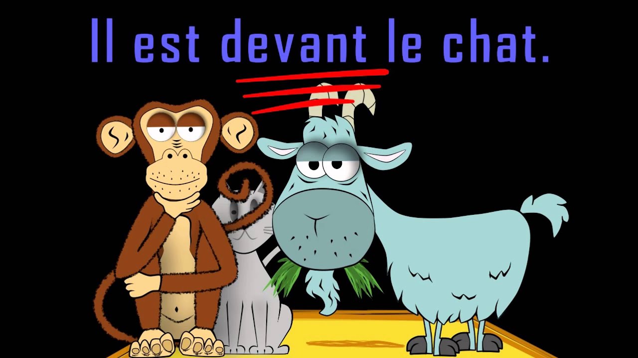 O&ugrave; est le chat? - alain le lait - pr&eacute;positions - French prepositions